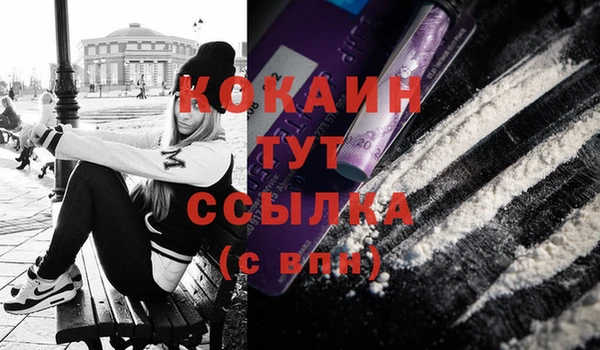 амф Магас