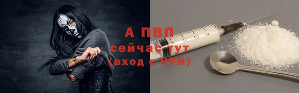 амф Магас