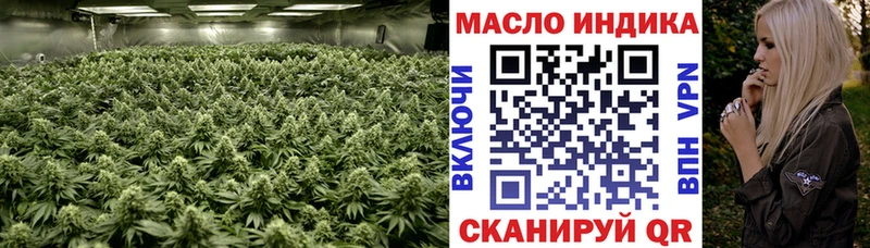 Купить где  Хилок  Дистиллят ТГК Wax 