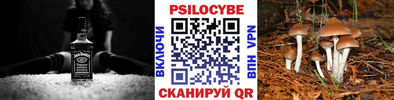 Галлюциногенные грибы мухоморы  Купить закладки  Хилок 